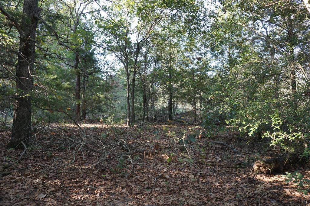 12641 Private Road 5104, Athens, TX 75751 12641 Private Road 5104, Athens, TX 75751