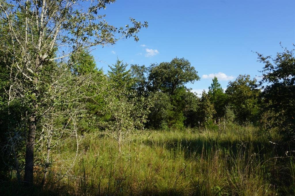 12641 Private Road 5104, Athens, TX 75751 12641 Private Road 5104, Athens, TX 75751