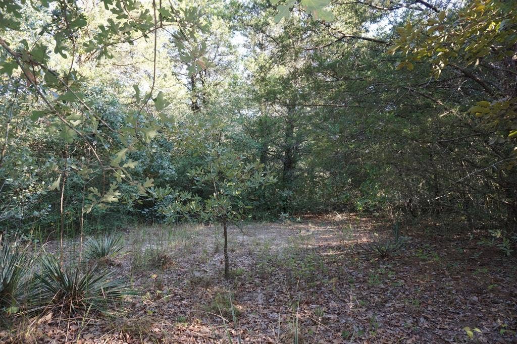 12641 Private Road 5104, Athens, TX 75751 12641 Private Road 5104, Athens, TX 75751
