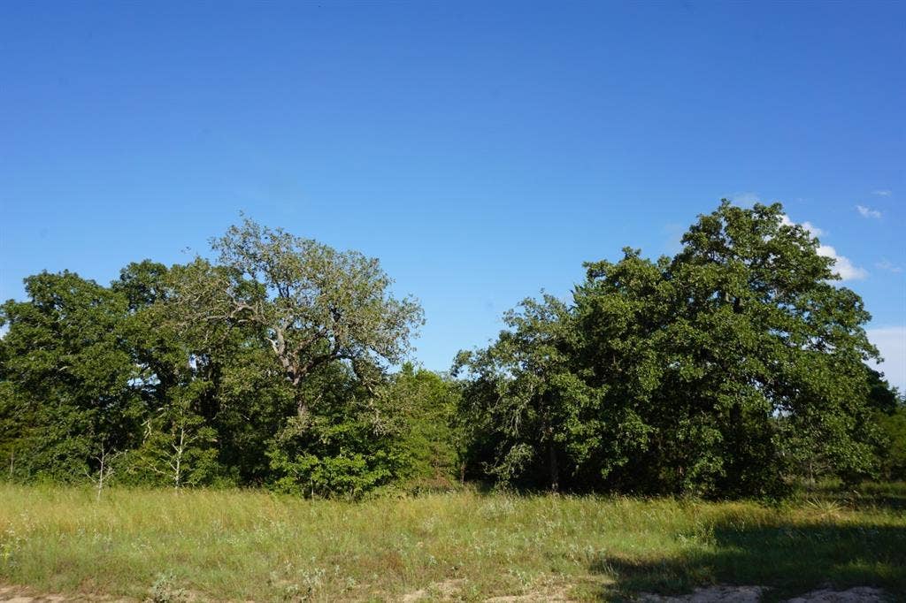 12641 Private Road 5104, Athens, TX 75751 12641 Private Road 5104, Athens, TX 75751