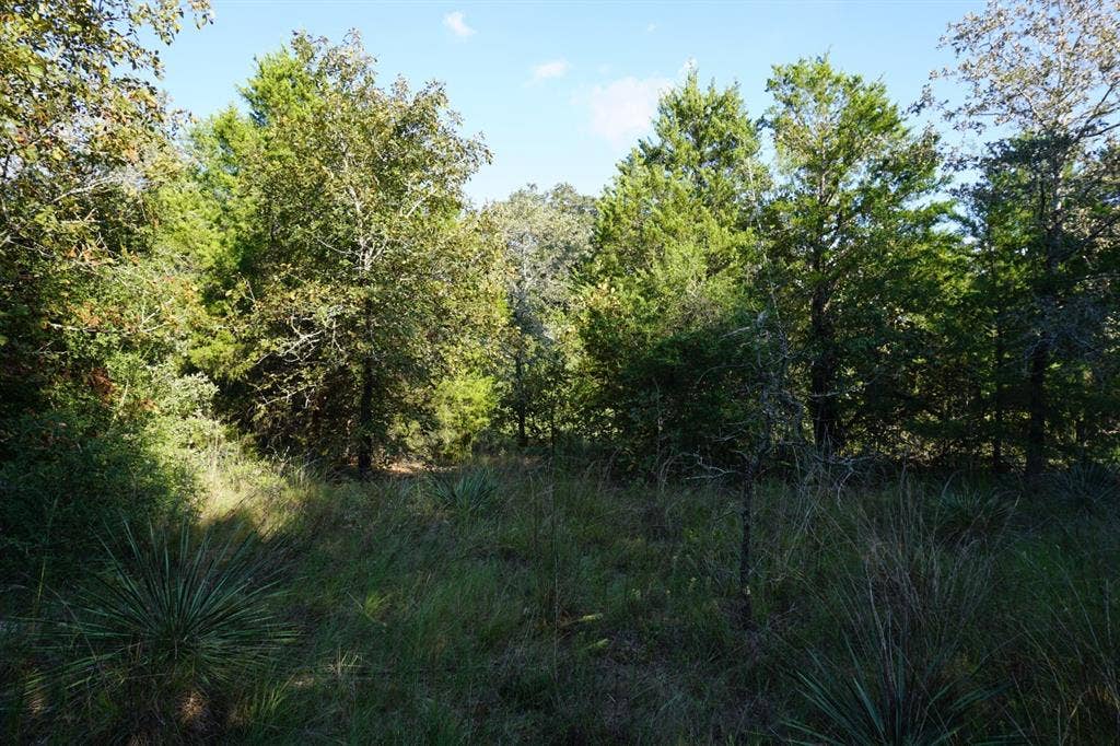 12641 Private Road 5104, Athens, TX 75751 12641 Private Road 5104, Athens, TX 75751