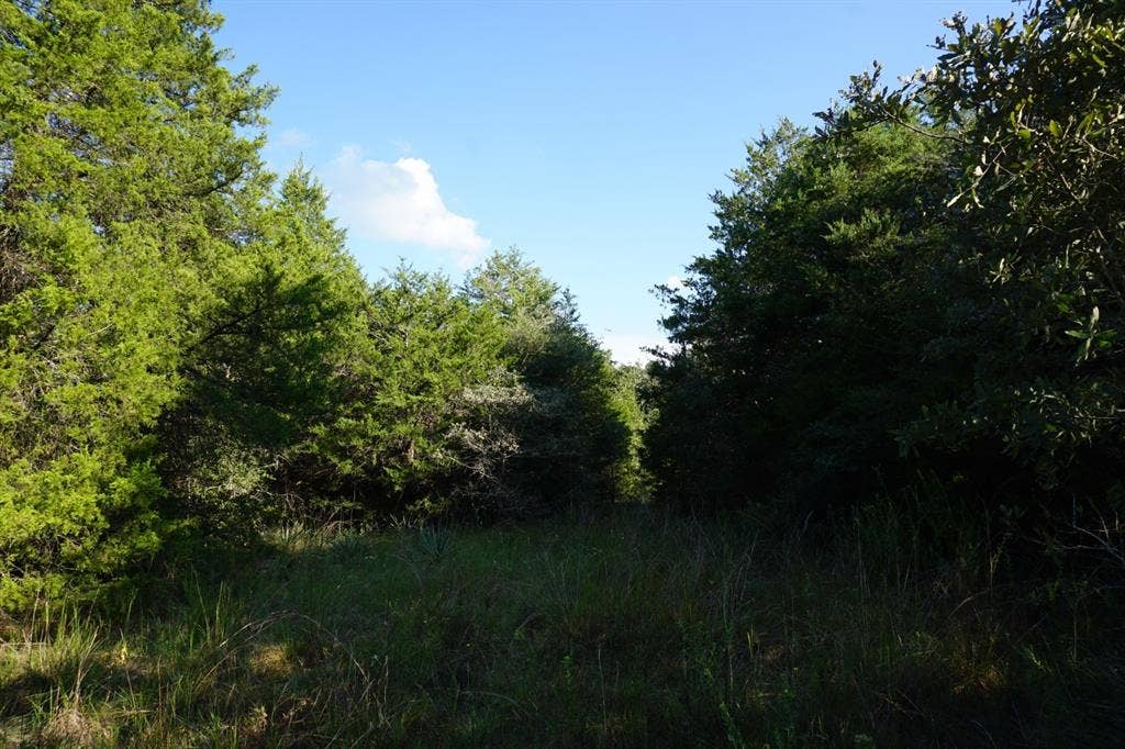 12641 Private Road 5104, Athens, TX 75751 12641 Private Road 5104, Athens, TX 75751