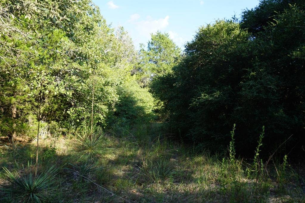 12641 Private Road 5104, Athens, TX 75751 12641 Private Road 5104, Athens, TX 75751