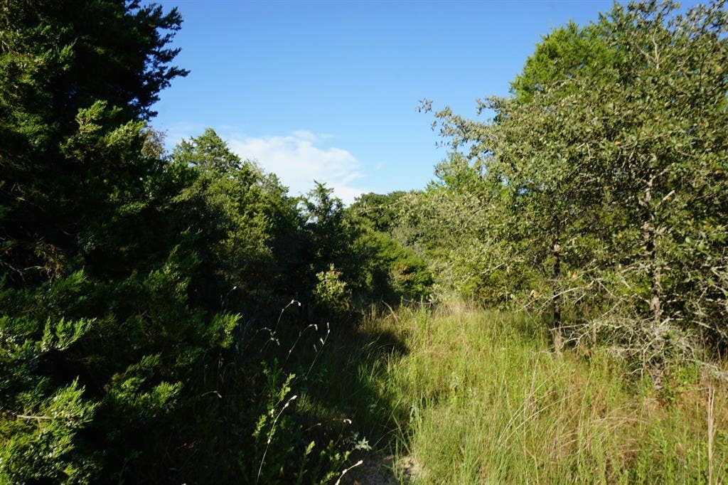 12641 Private Road 5104, Athens, TX 75751 12641 Private Road 5104, Athens, TX 75751