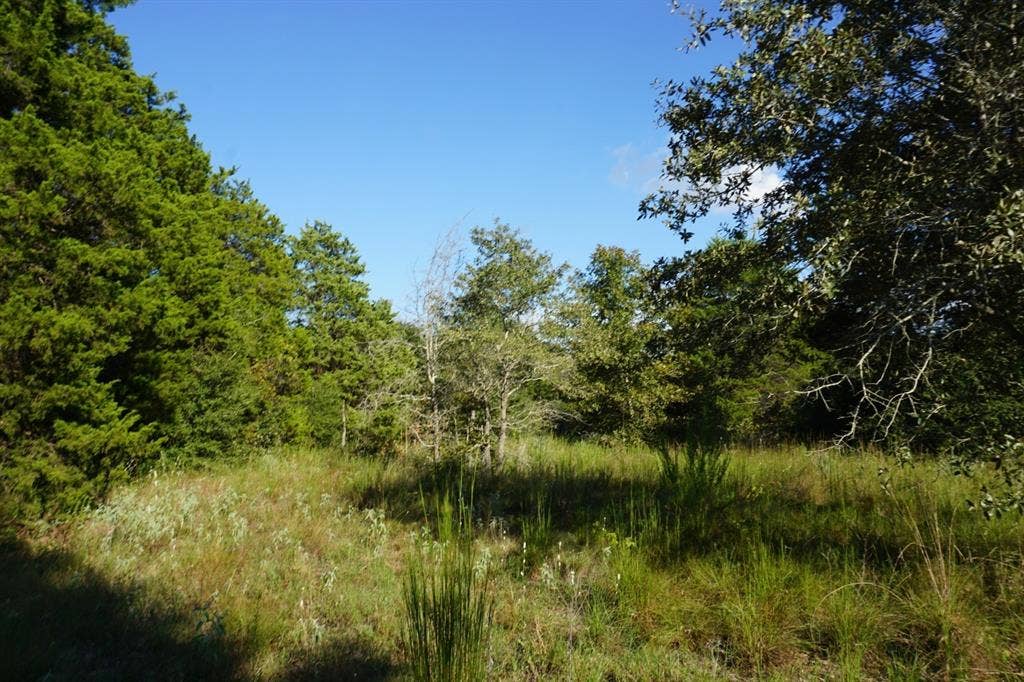 12641 Private Road 5104, Athens, TX 75751 12641 Private Road 5104, Athens, TX 75751