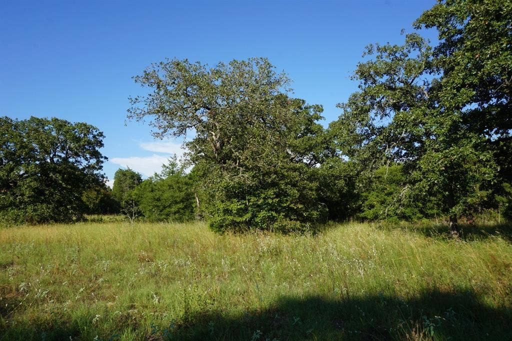 12641 Private Road 5104, Athens, TX 75751 12641 Private Road 5104, Athens, TX 75751
