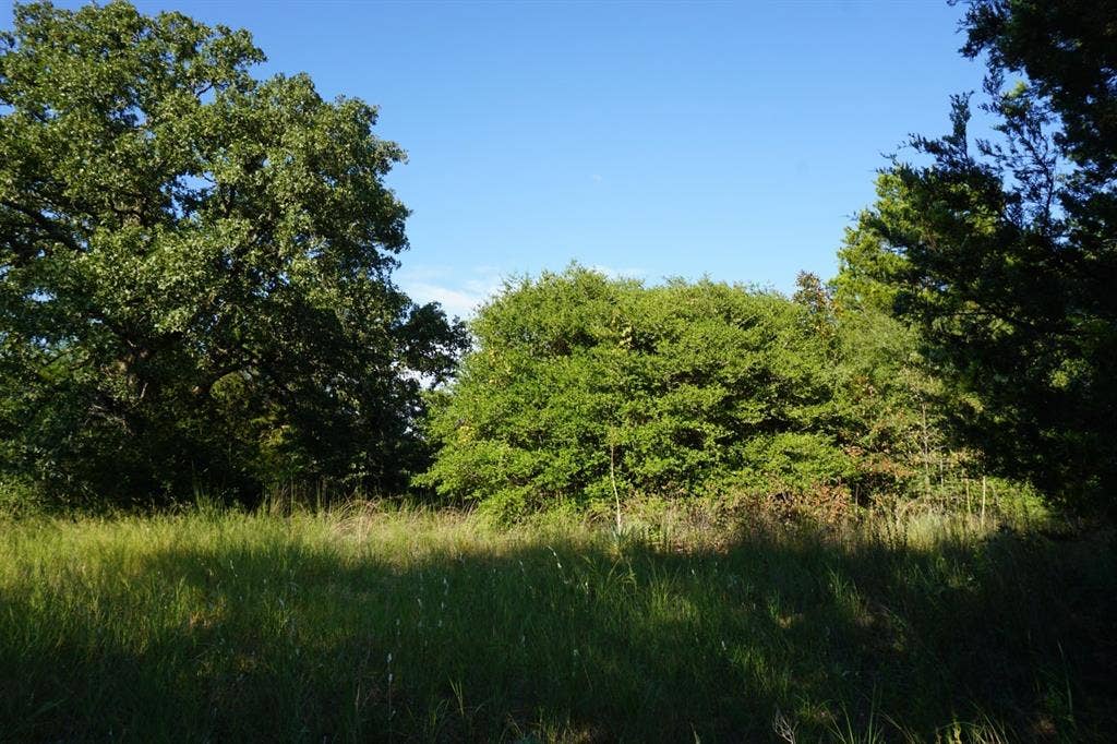 12641 Private Road 5104, Athens, TX 75751 12641 Private Road 5104, Athens, TX 75751