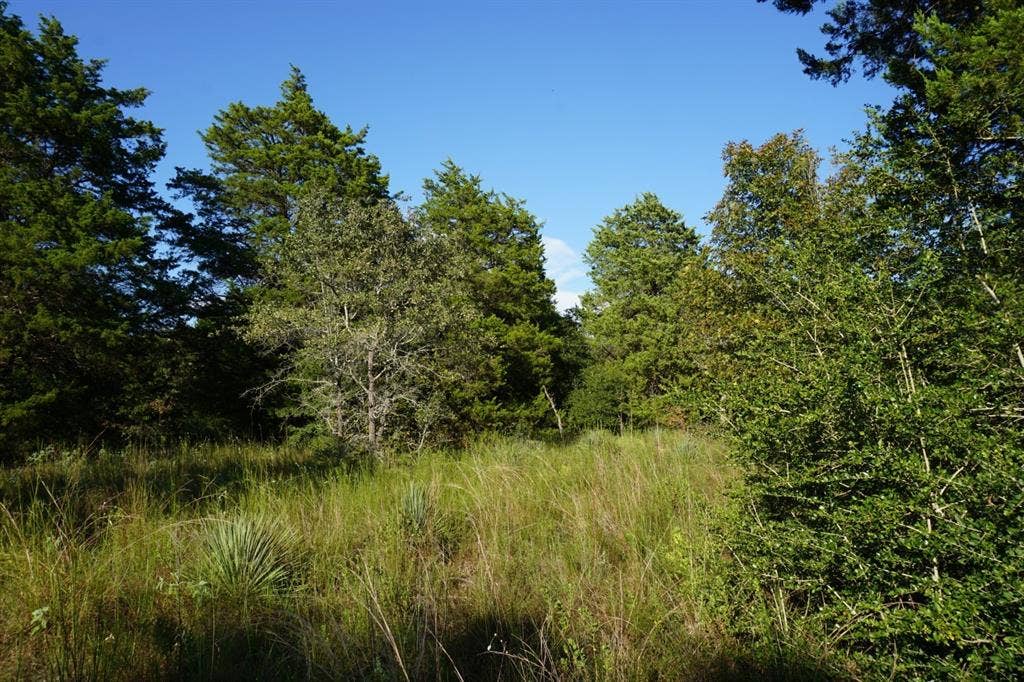 12641 Private Road 5104, Athens, TX 75751 12641 Private Road 5104, Athens, TX 75751