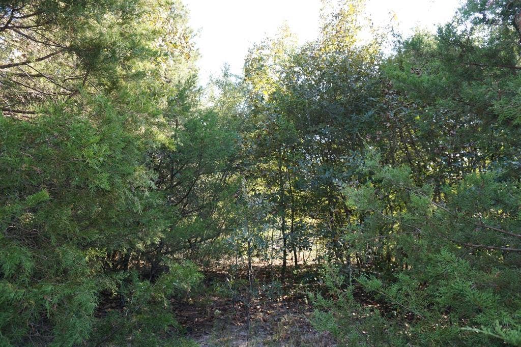12641 Private Road 5104, Athens, TX 75751 12641 Private Road 5104, Athens, TX 75751