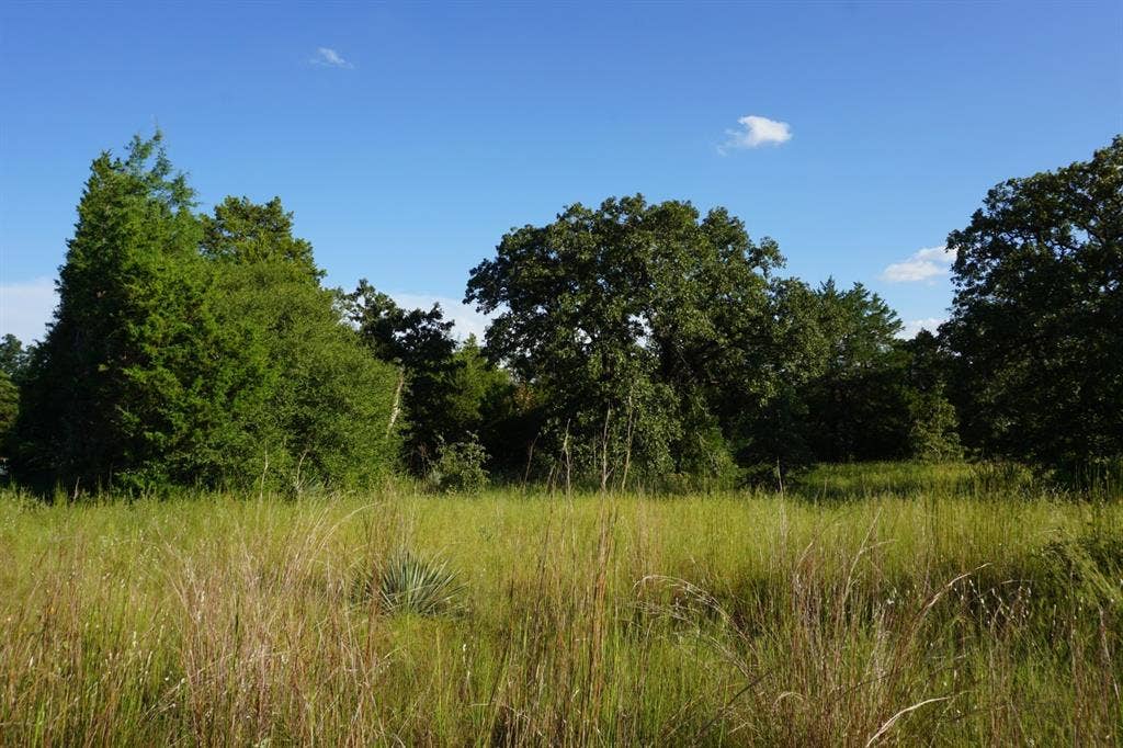 12641 Private Road 5104, Athens, TX 75751 12641 Private Road 5104, Athens, TX 75751