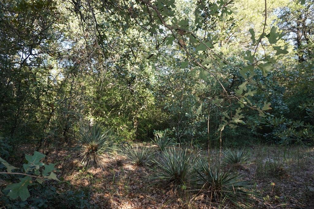12641 Private Road 5104, Athens, TX 75751 12641 Private Road 5104, Athens, TX 75751