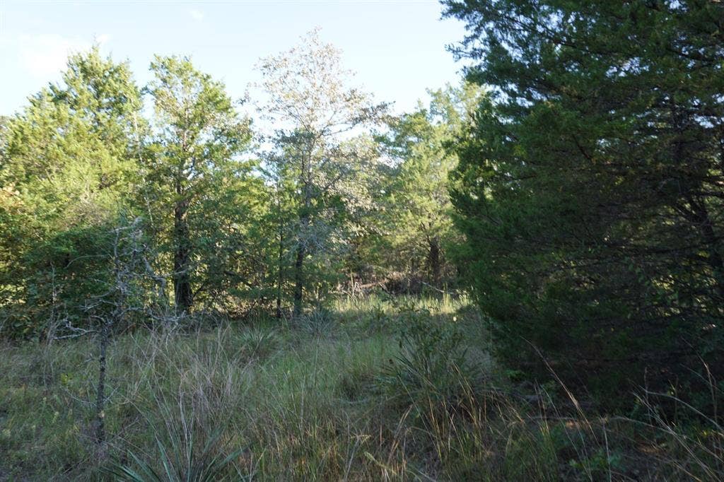12641 Private Road 5104, Athens, TX 75751 12641 Private Road 5104, Athens, TX 75751