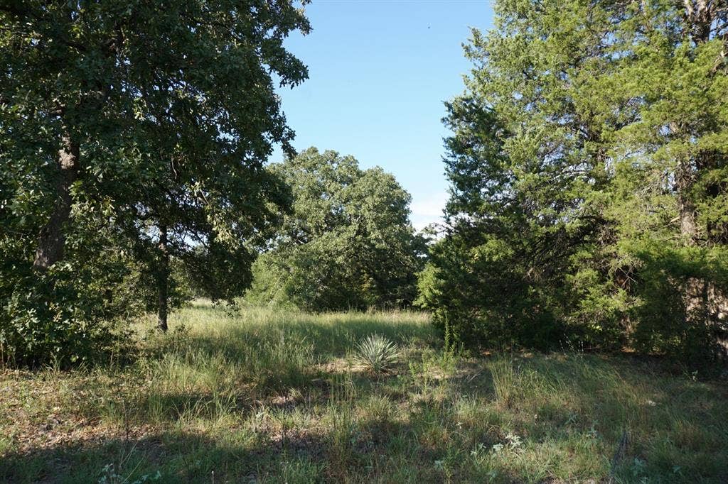 12641 Private Road 5104, Athens, TX 75751 12641 Private Road 5104, Athens, TX 75751