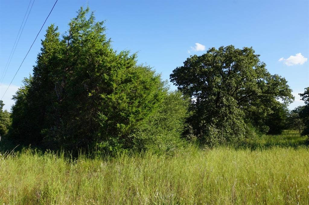 12641 Private Road 5104, Athens, TX 75751 12641 Private Road 5104, Athens, TX 75751