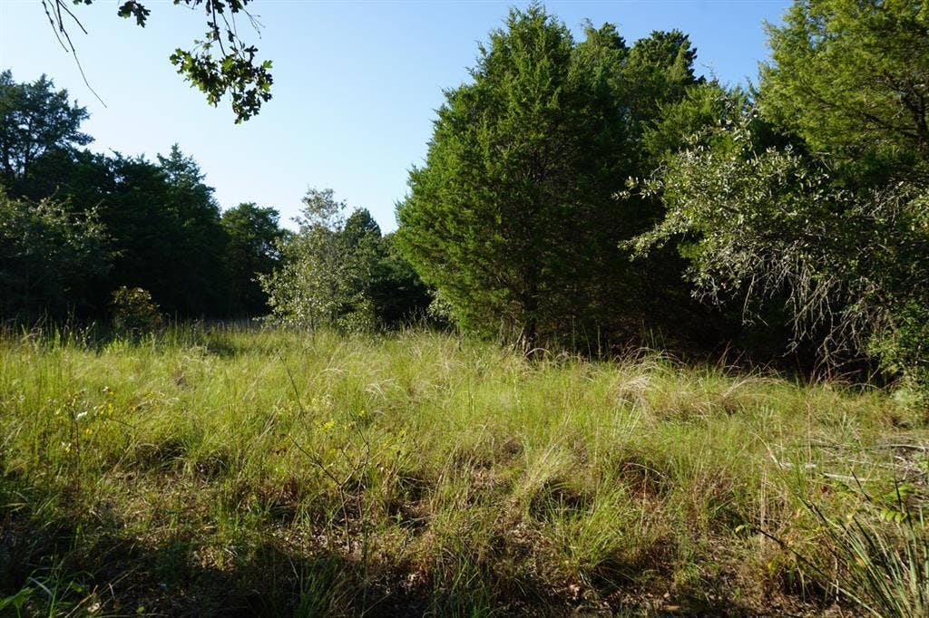 12641 Private Road 5104, Athens, TX 75751 12641 Private Road 5104, Athens, TX 75751