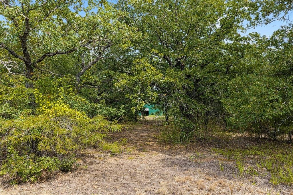 172 M Burton Street, Riesel, TX 76682 Mature trees and natural foliage