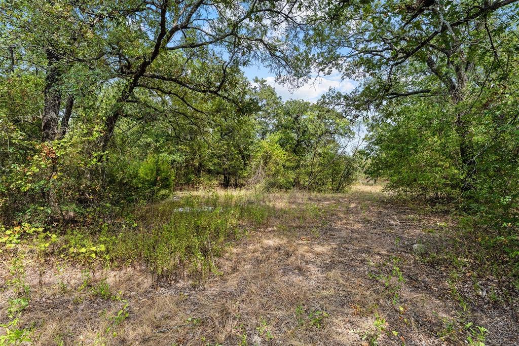 172 M Burton Street, Riesel, TX 76682 Wooded parcel with mature trees and natural vegetation