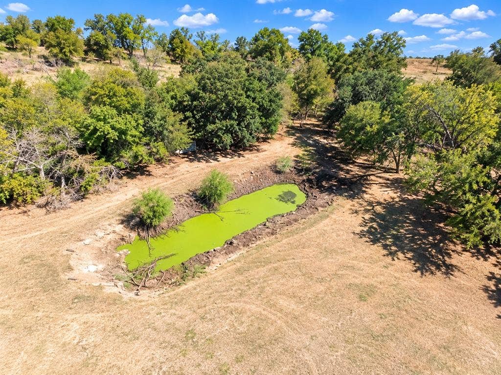7245 County Road 4095, Kaufman, TX 75142 Natural pond feature surrounded by varied trees and dry grasses