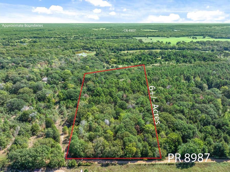 Property photo for TBD County Road 8987, Ben Wheeler, TX