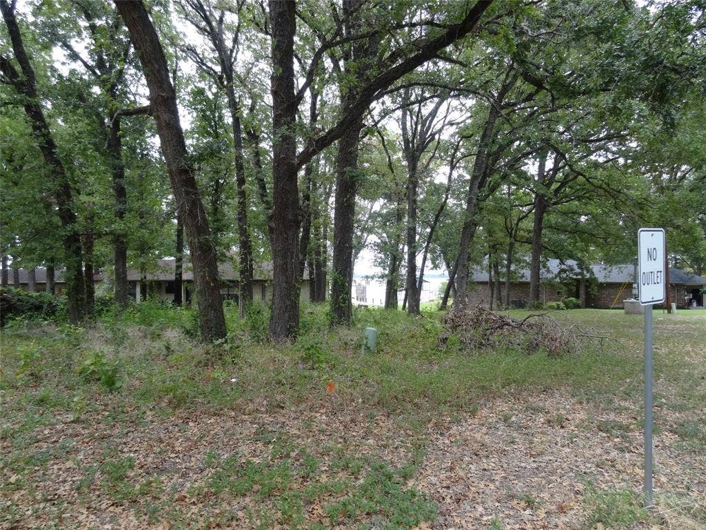 Lot 380 North Shore, Trinidad, TX 75163 View of the Lot
