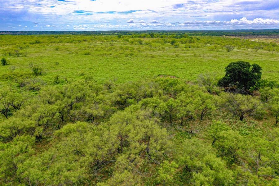 Property photo for TBD FM 175 Tract #1, Jacksboro, TX