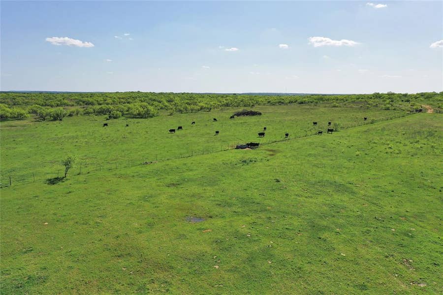 Property photo for TBD FM 175 Tract #2, Jacksboro, TX