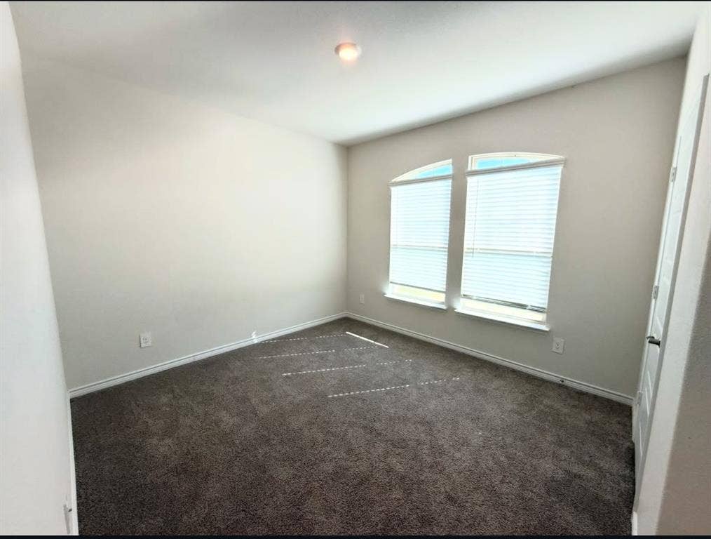Neutral wall tones, plush carpeting, dual arched-top windows, and ceiling-mounted lighting