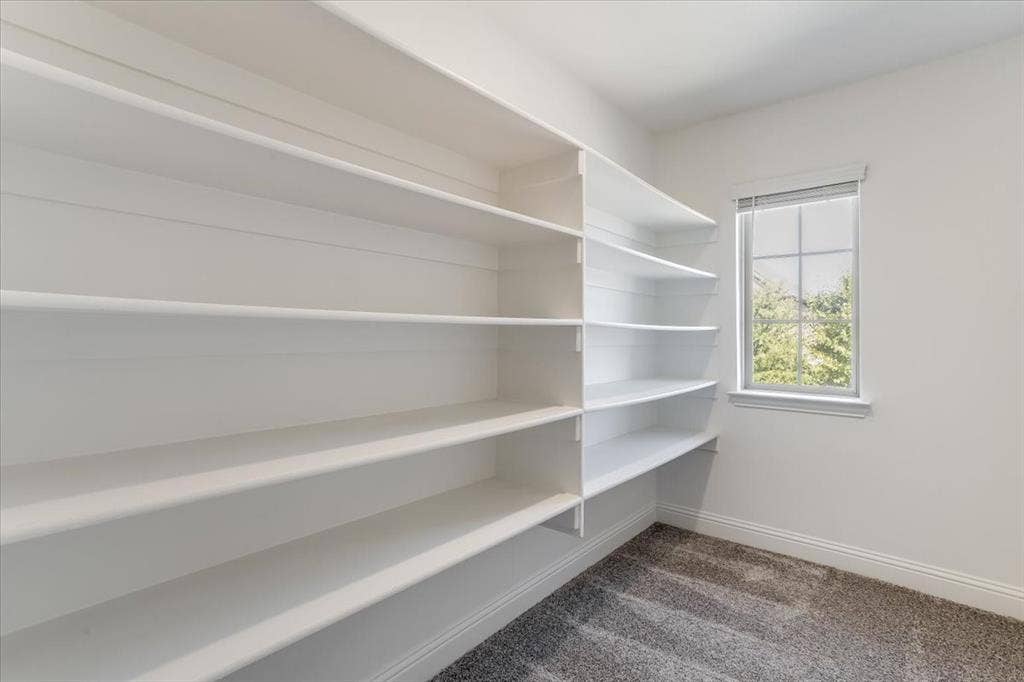 Built-in shelving with multiple levels, double-hung window, and gray carpeting