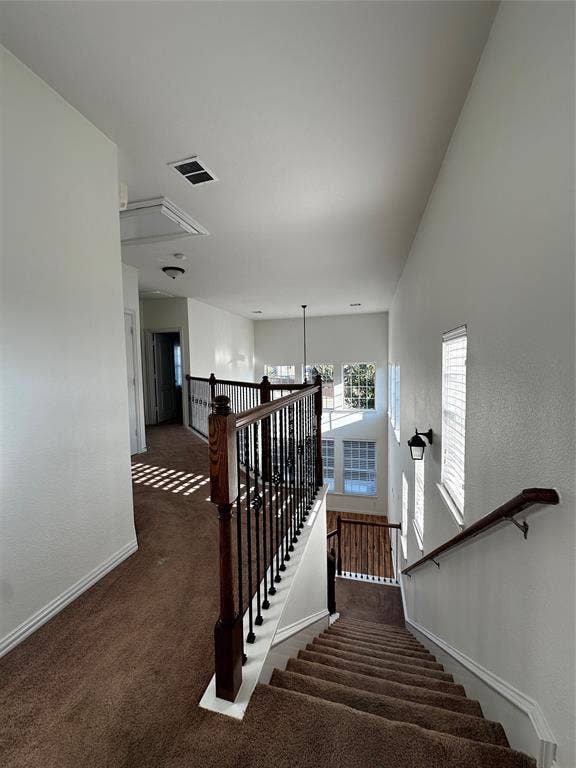3821 Marcillia Circle, Irving, TX 75038 3821 Marcillia Circle, Irving, TX 75038