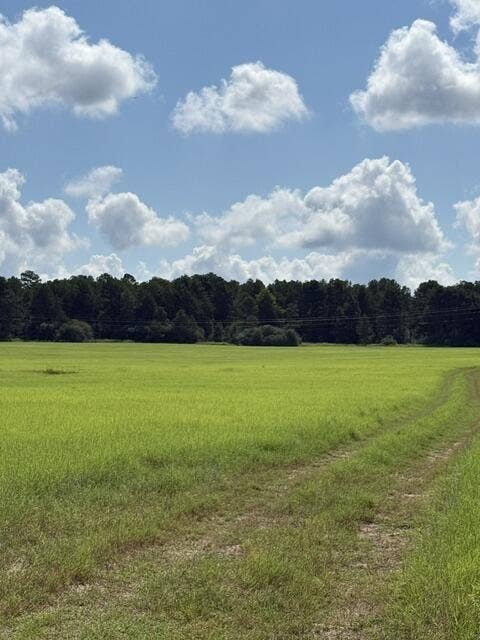 Property photo for 0 An Cnounty Road 1231, Palestine, TX