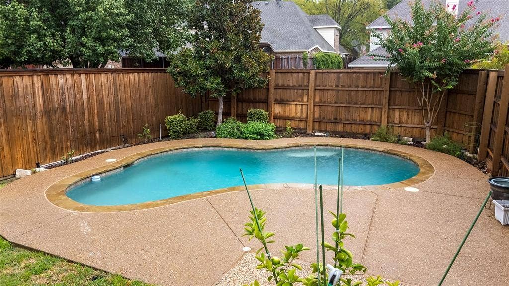 3916 Montrose Drive, Plano, TX 75025 Free-form swimming pool with a textured concrete surround, bordered by a privacy fence and mature landscaping