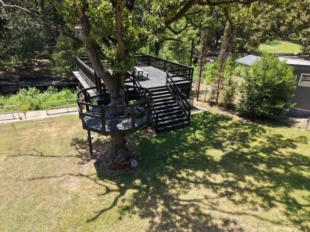 Boat dock and tree house
