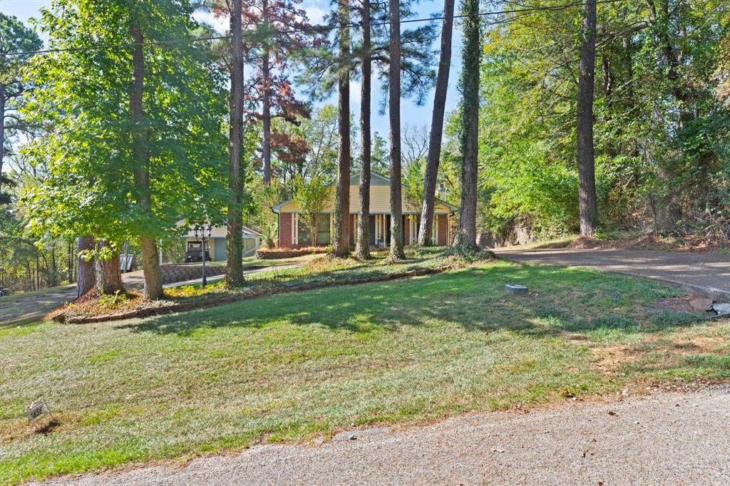 1656 Pineview Lane, Hideaway, TX 75771 Mature trees, sloped grassy terrain, and a paved driveway leading to the property