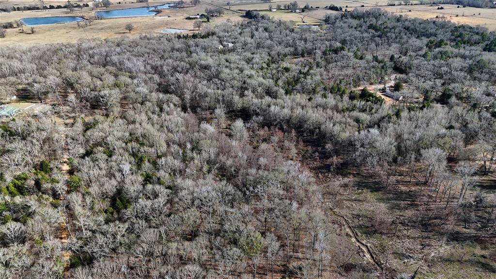 TBD County Road 3801, Athens, TX 75752 TBD County Road 3801, Athens, TX 75752