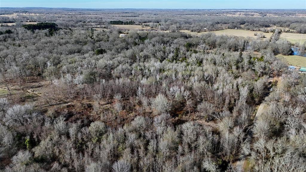 TBD County Road 3801, Athens, TX 75752 TBD County Road 3801, Athens, TX 75752