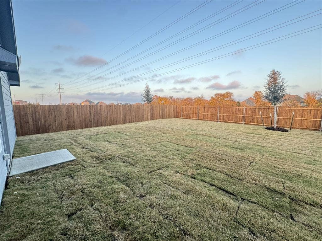 7908 Gilbert Street, McKinney, TX 75071 Expansive backyard with a newly sodded lawn, perimeter wood fencing, and a newly planted tree