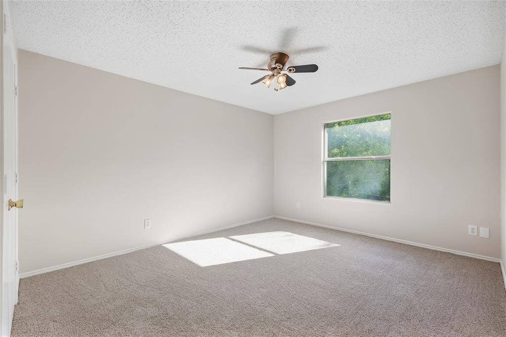 Neutral tone wall paint, textured ceiling, ceiling fan, carpet flooring, and a single window
