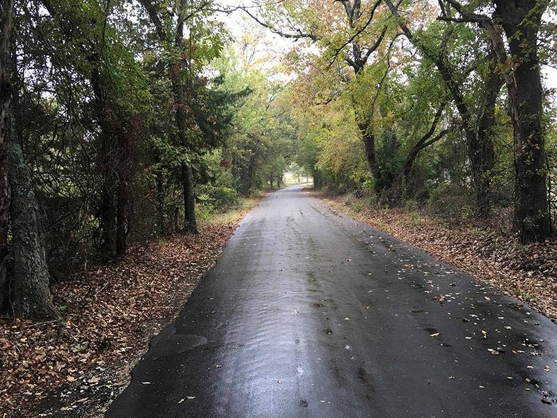 Property photo for Rains County Rd #3150, Emory, TX