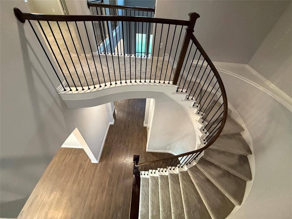 11818 Antler Drive, Frisco, TX 75035 Curved staircase featuring dark wood handrails, black metal spindles, and light-toned carpeted treads