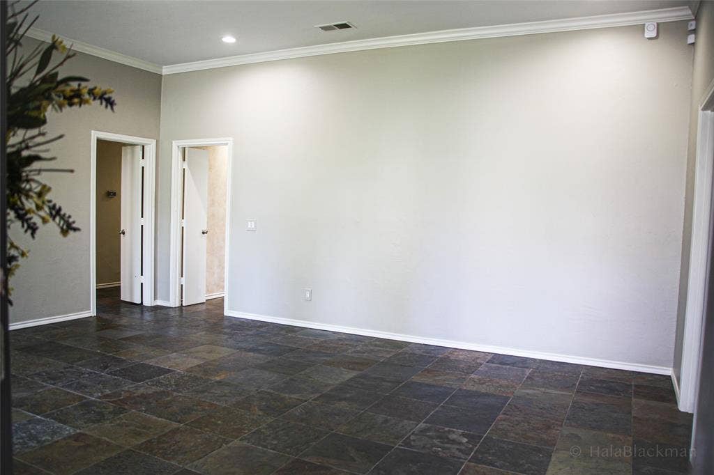 2304 Skipwith Drive, Plano, TX 75023 entry