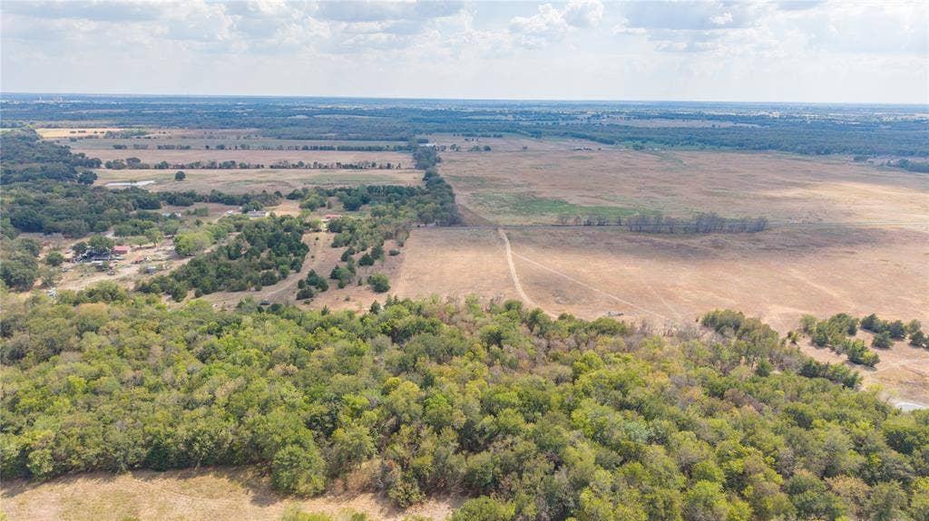 15 Acres County Road 4605, Commerce, TX 75428 Dense grove of trees at the back of the property