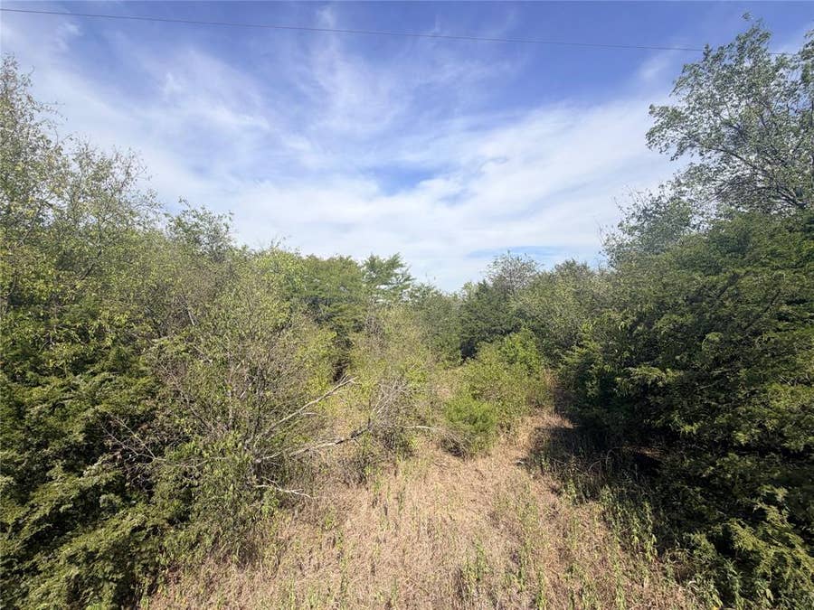 Property photo for TBD CR 3824, Wills Point, TX
