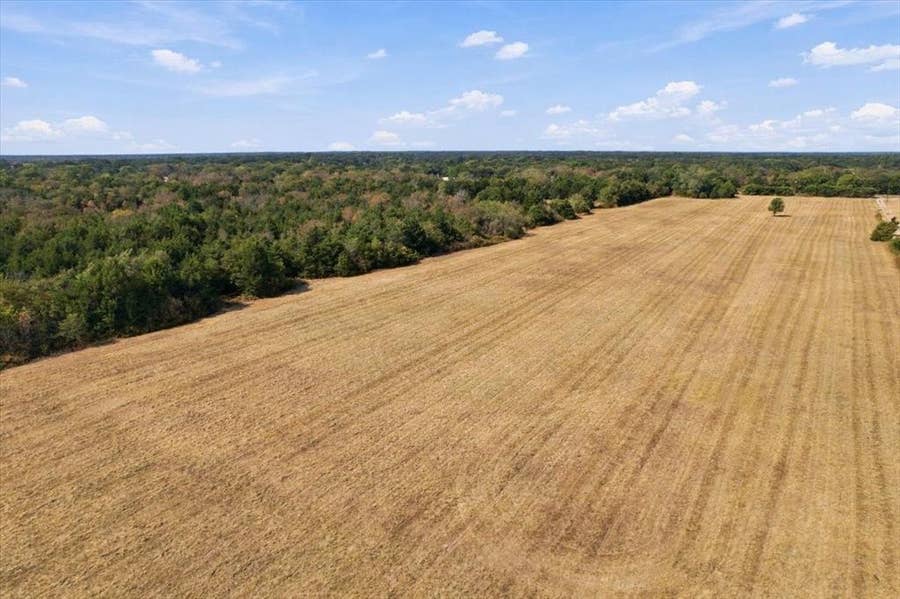Property photo for YBD Farm Road 273, Ivanhoe, TX