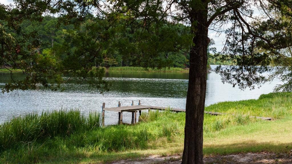 17158 CR 285, Arp, TX 75750 17158 CR 285, Arp, TX 75750
