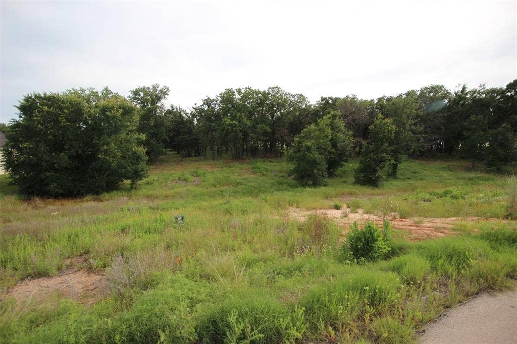 174 Hansma Way, Weatherford, TX 76087 174 Hansma Way, Weatherford, TX 76087