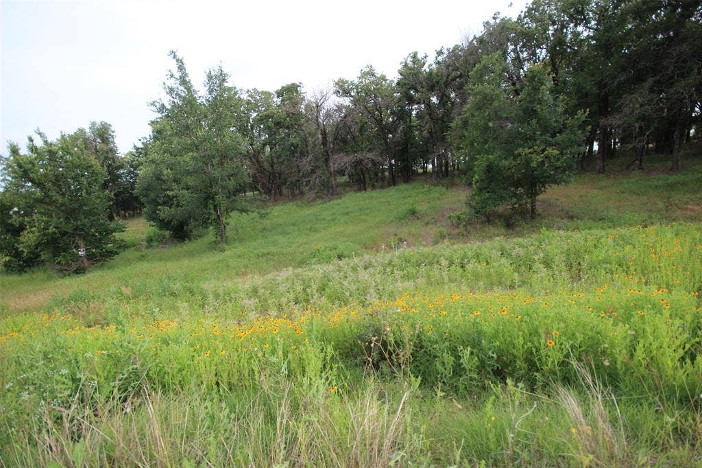 174 Hansma Way, Weatherford, TX 76087 174 Hansma Way, Weatherford, TX 76087