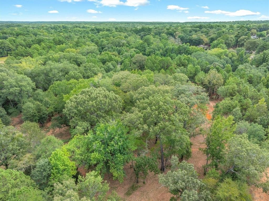 516 Willingham Road, Whitehouse, TX 75791 516 Willingham Road, Whitehouse, TX 75791