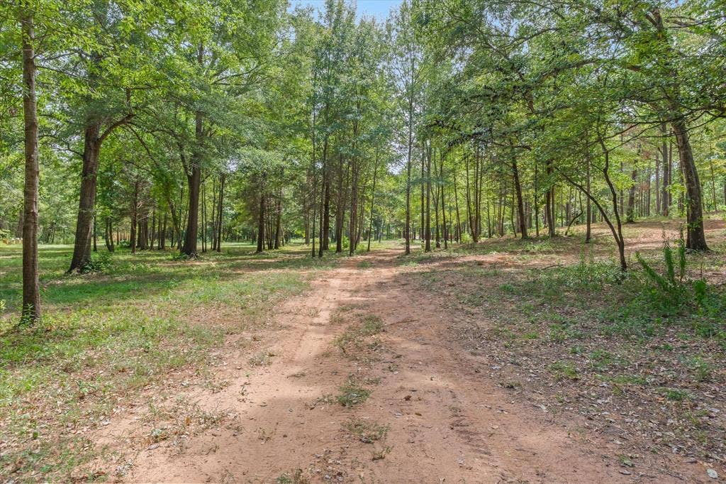 516 Willingham Road, Whitehouse, TX 75791 516 Willingham Road, Whitehouse, TX 75791