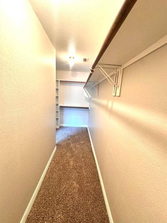 Carpeted hallway with a clothing rod and integrated shelving