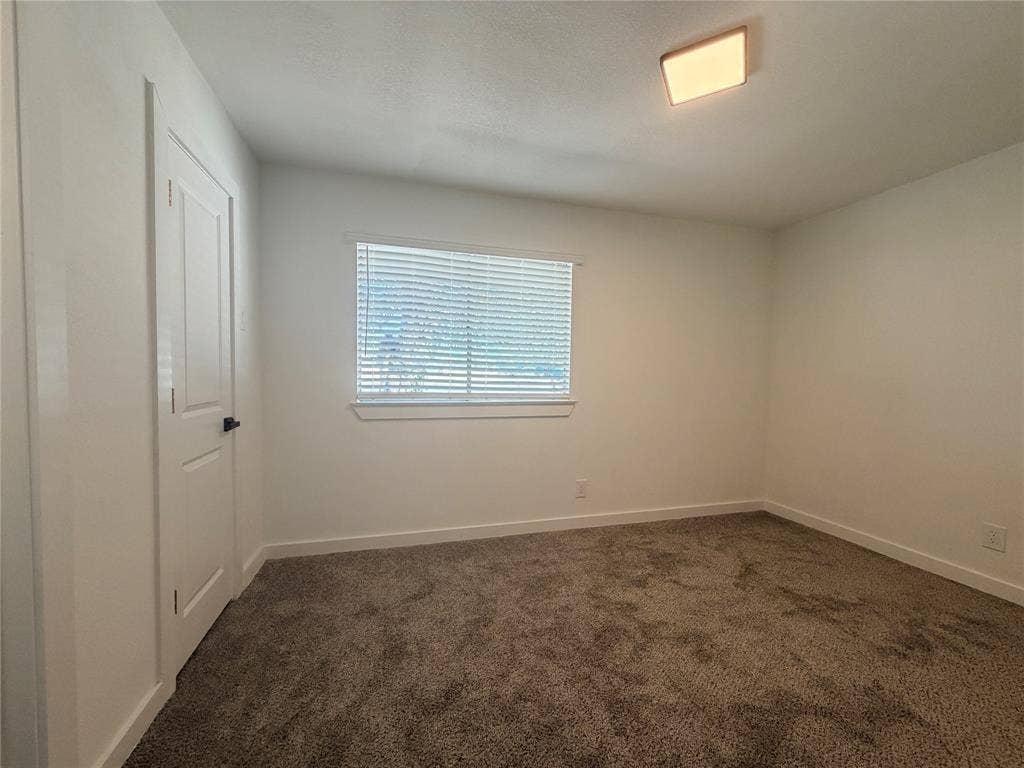 1424 E Parker Road, Plano, TX 75074 Neutral wall paint, ceiling-mounted light fixture, window with blinds, panel door, and dark carpet flooring